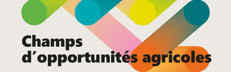 Champs d'opportunités agricoles