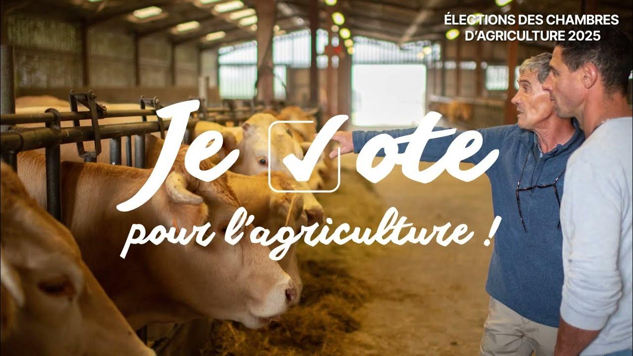 Je vote pour les Chambres d'agriculture