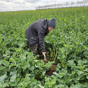 Observer la biodiversité grâce au réseau ENI